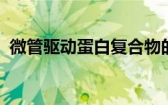 微管驱动蛋白复合物的冷冻电子显微镜重建