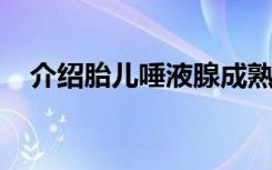 介绍胎儿唾液腺成熟度检测结果如何判读