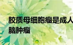 胶质母细胞瘤是成人中最普遍 也是最致命的脑肿瘤