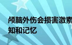 颅脑外伤会损害激素的产生 从而破坏睡眠认知和记忆