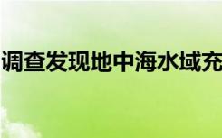 调查发现地中海水域充满泡沫和渔具的微塑料