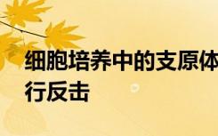 细胞培养中的支原体 使用快速检测试剂盒进行反击