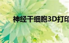 神经干细胞3D打印到潜在的植入物上