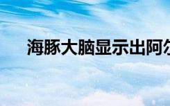 海豚大脑显示出阿尔茨海默氏症的迹象