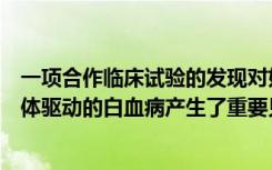 一项合作临床试验的发现对如何使用靶向疗法治疗费城染色体驱动的白血病产生了重要见解