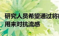 研究人员希望通过将疫苗与突变蛋白的结合使用来对抗流感