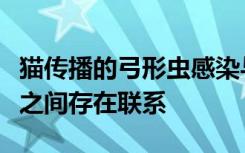 猫传播的弓形虫感染与热情的商业企业家精神之间存在联系