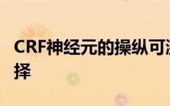 CRF神经元的操纵可激发压力下的行为方式选择