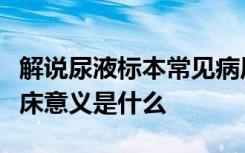 解说尿液标本常见病原体和尿液标本检测的临床意义是什么