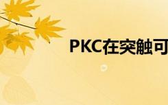 PKC在突触可塑性中的作用