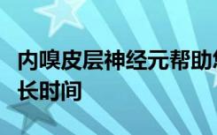 内嗅皮层神经元帮助您的宠物告诉您等待了多长时间