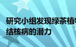 研究小组发现绿茶植物中的化合物显示出抗击结核病的潜力