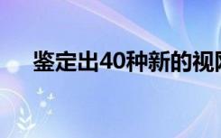 鉴定出40种新的视网膜神经节细胞亚型