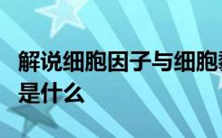 解说细胞因子与细胞黏附分子测定的临床应用是什么