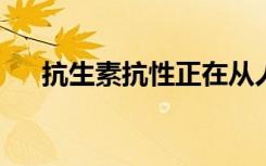 抗生素抗性正在从人类转移到动物身上