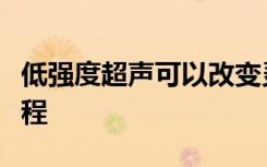 低强度超声可以改变灵长类动物大脑的决策过程