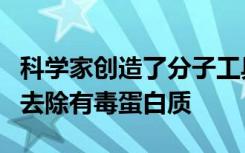 科学家创造了分子工具从痴呆的神经元模型中去除有毒蛋白质