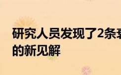 研究人员发现了2条衰老路径和促进健康跨度的新见解