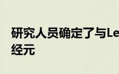 研究人员确定了与Leigh综合征相关的两组神经元