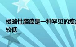 侵略性脑癌是一种罕见的癌症但一旦患上生存的机会就相对较低