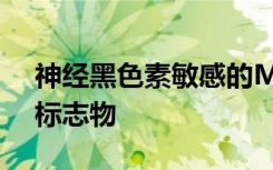 神经黑色素敏感的MRI可能是精神病的生物标志物