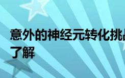 意外的神经元转化挑战了我们对细胞可塑性的了解