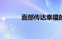 面部传达幸福的17种不同方式