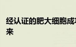 经认证的肥大细胞成功地从造血干细胞发育而来