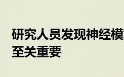 研究人员发现神经模式对于理解PTSD等疾病至关重要