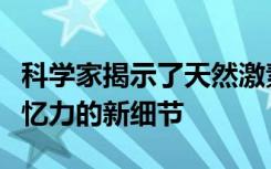 科学家揭示了天然激素如何增强衰老小鼠的记忆力的新细节