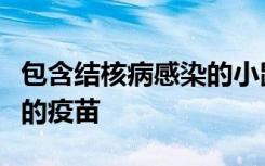 包含结核病感染的小鼠模型可能会导致更有效的疫苗