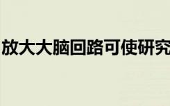 放大大脑回路可使研究人员停止癫痫发作活动