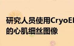 研究人员使用CryoEM可视化了迄今为止最细的心肌细丝图像