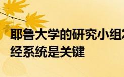 耶鲁大学的研究小组发现在抵抗肠道感染中神经系统是关键