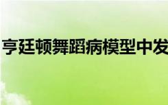 亨廷顿舞蹈病模型中发现的胶质细胞发育不良