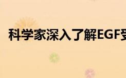 科学家深入了解EGF受体的结构和相互作用