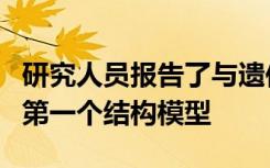 研究人员报告了与遗传性眼病有关的关键酶的第一个结构模型