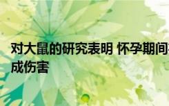 对大鼠的研究表明 怀孕期间在特殊场合饮酒可能会对身体造成伤害