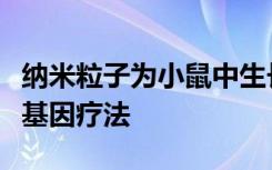 纳米粒子为小鼠中生长的小儿脑肿瘤提供自杀基因疗法