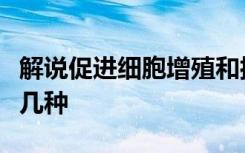 解说促进细胞增殖和抑制细胞增殖测定法有哪几种