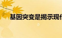 基因突变是揭示现代想象力秘密的关键