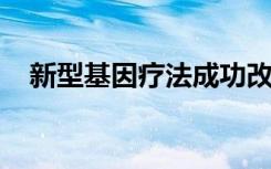 新型基因疗法成功改善中风后的功能恢复