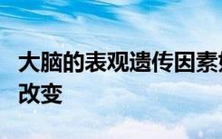 大脑的表观遗传因素如何在阿尔茨海默氏症中改变