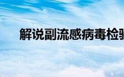 解说副流感病毒检验的临床意义是什么