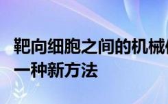 靶向细胞之间的机械信号可能成为对抗癌症的一种新方法