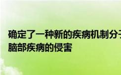 确定了一种新的疾病机制分子药物靶标 可以保护早产儿免受脑部疾病的侵害