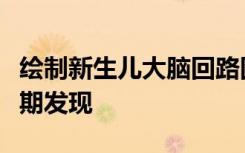 绘制新生儿大脑回路图可能有助于自闭症的早期发现