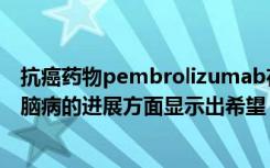 抗癌药物pembrolizumab在减缓或阻止进行性多灶性白质脑病的进展方面显示出希望