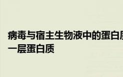 病毒与宿主生物液中的蛋白质相互作用 从而在病毒表面形成一层蛋白质