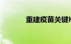 重建疫苗关键HIV抗体的捷径